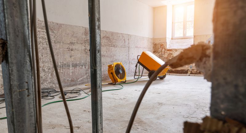 Moisture Removal Service in Phoenix, AZ