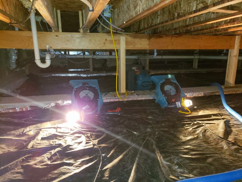 Water Removal Service in Phoenix, AZ
